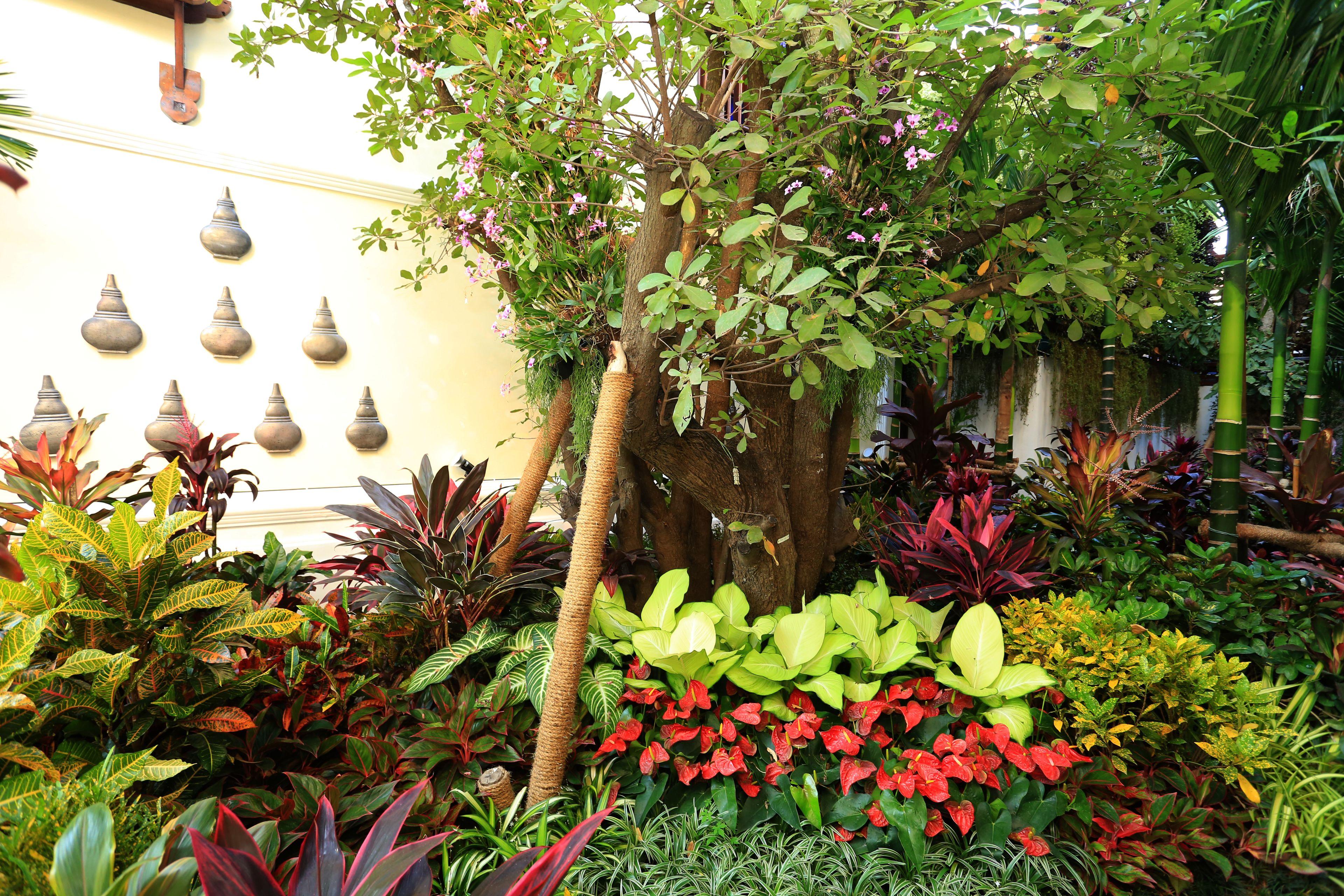 Viangluang Resort — Photos 1